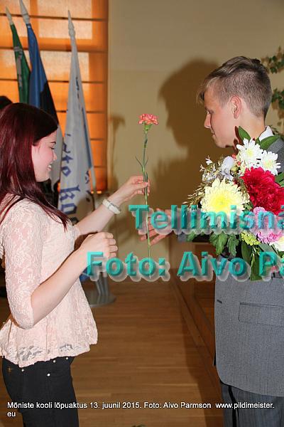 Kuutsi 292