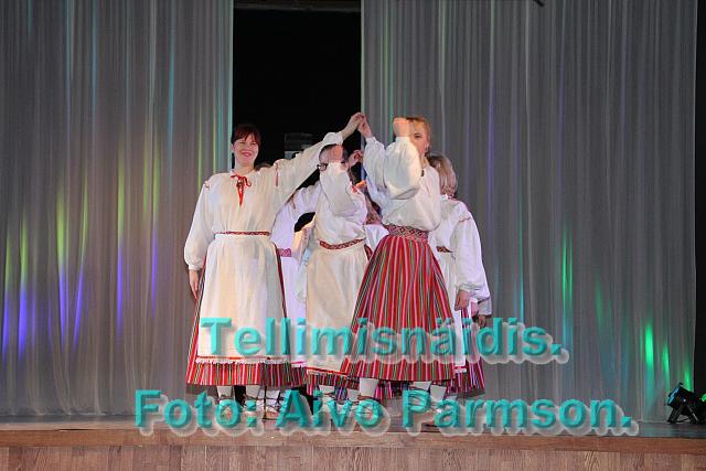 IMG 9753