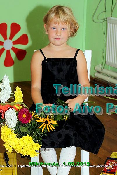 Mikita (31)