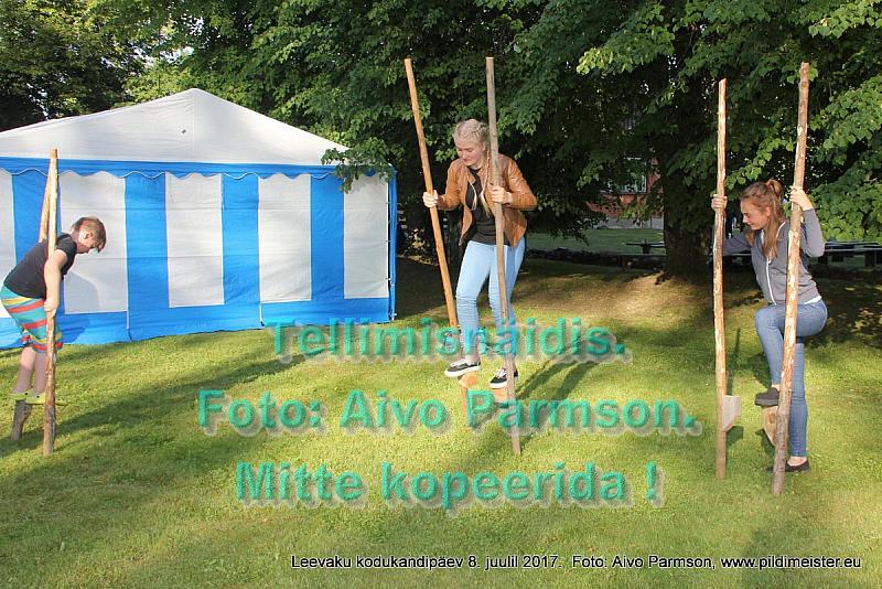 Kodukandi 162