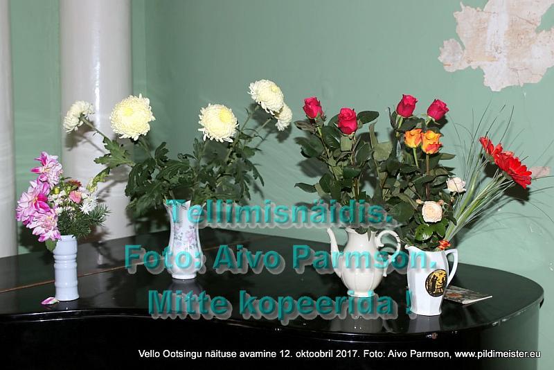 Vello 068