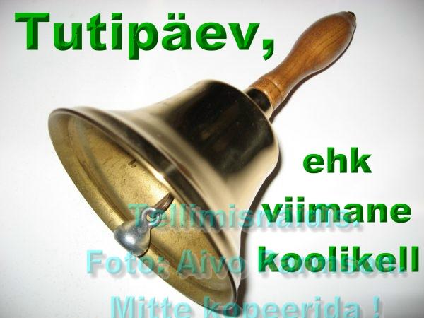 Tuti (16)