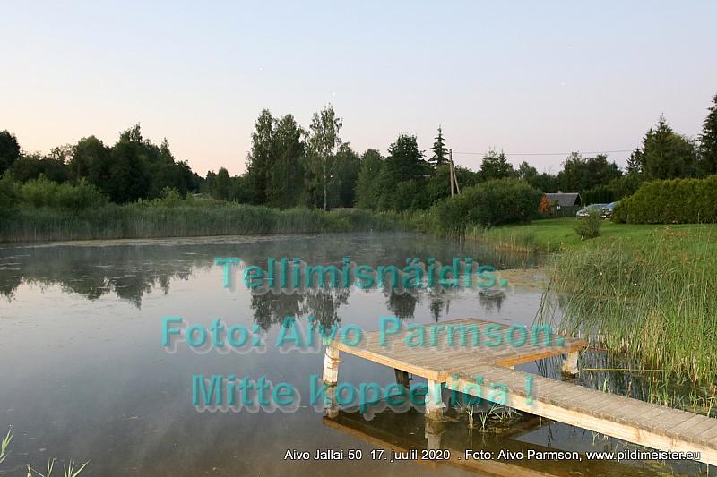 Aivo (74)