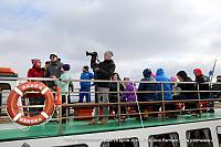 Avatud 082