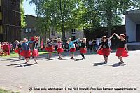 IMG 2958