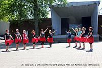 IMG 2982