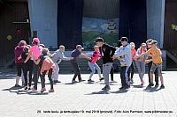 IMG 2995