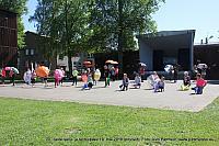 IMG 3050
