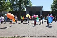 IMG 3073