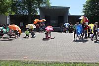 IMG 3076