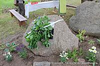 Pääsna 047
