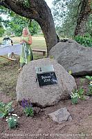 Pääsna 054