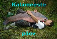 Kala ja mees