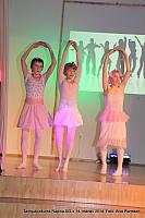 IMG 8811