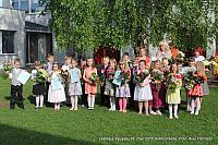 IMG 3152