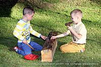 Kodukandi 160