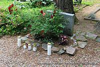 IMG 5322