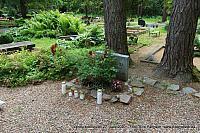 IMG 5323