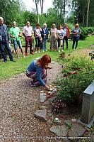IMG 5327