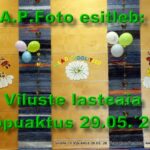 Viluste (1)